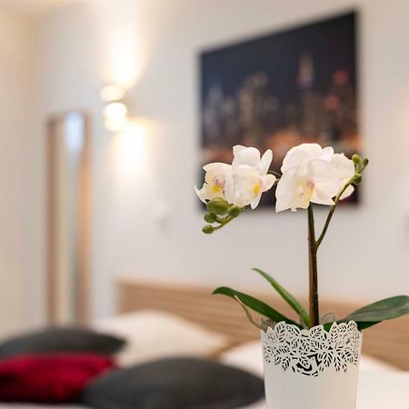Citycosy Strasbourg - Studio Hirtz Orangerie Buitenkant foto