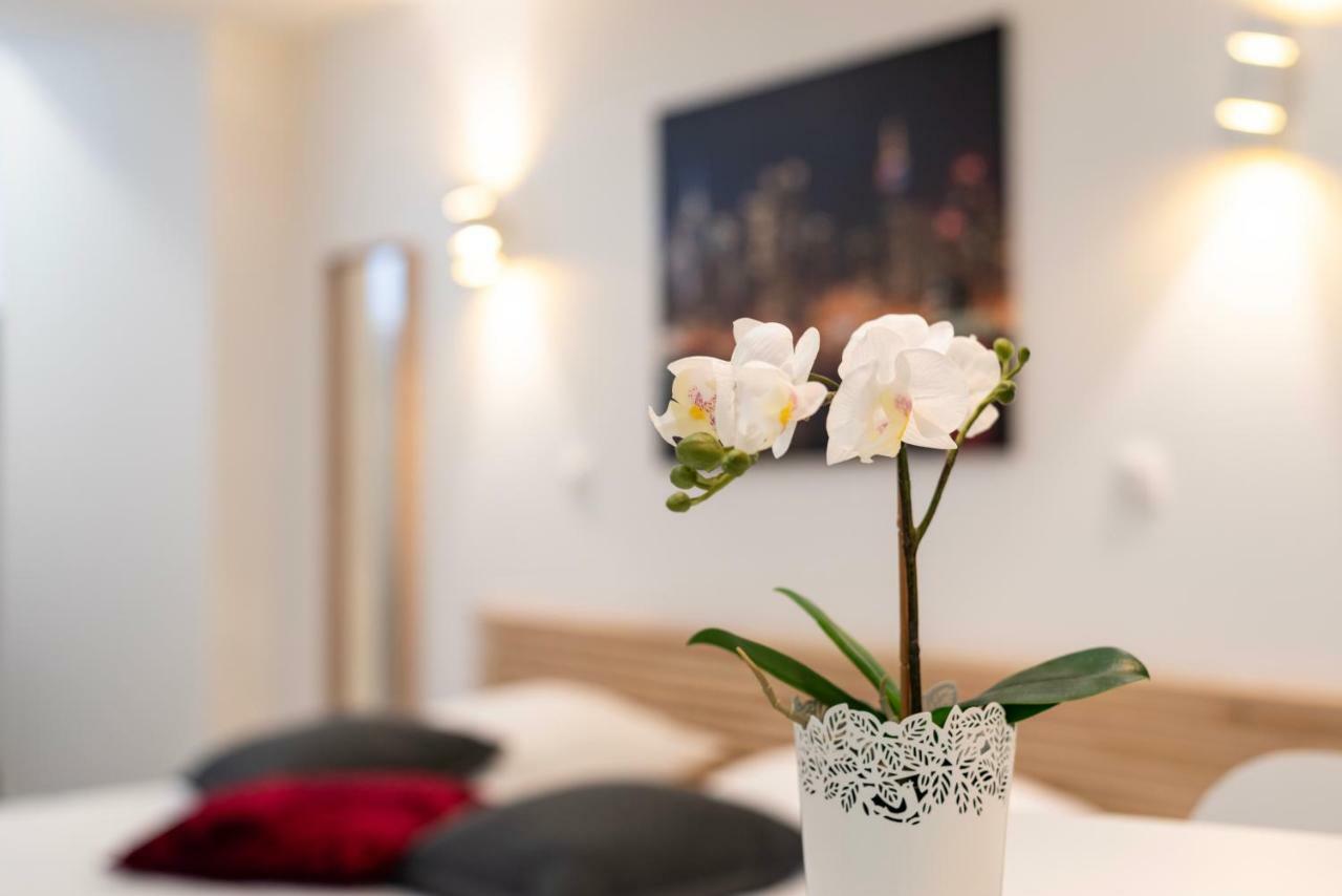 Citycosy Strasbourg - Studio Hirtz Orangerie Buitenkant foto