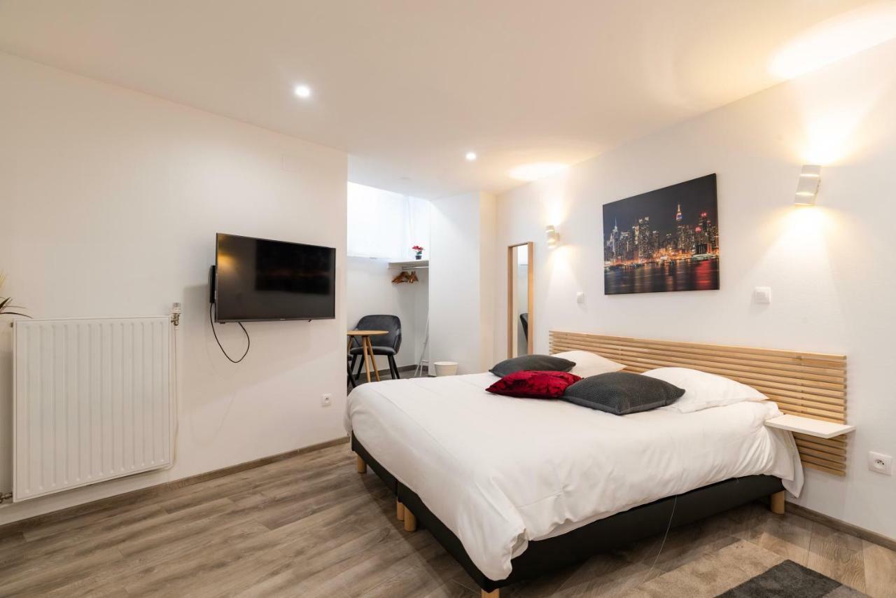 Citycosy Strasbourg - Studio Hirtz Orangerie Buitenkant foto